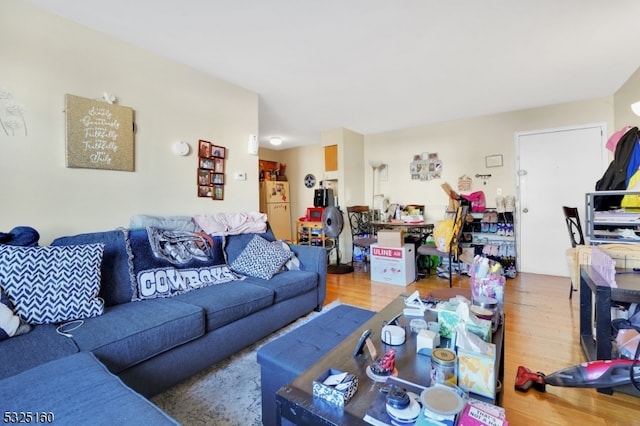 living room featuring hardwood / wood-style flooring