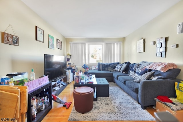 living room with hardwood / wood-style flooring