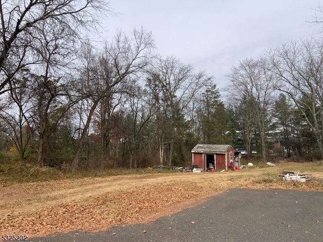 view of yard with a storage shed