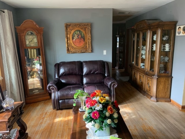 living room featuring light hardwood / wood-style floors