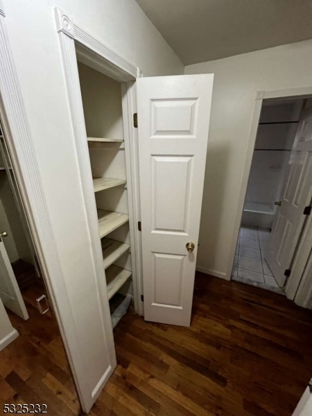 view of closet