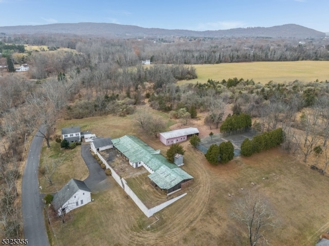 drone / aerial view with a mountain view