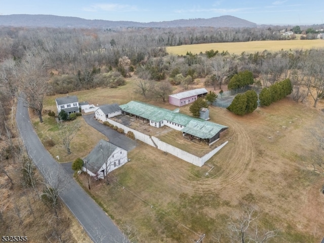 birds eye view of property with a mountain view and a rural view