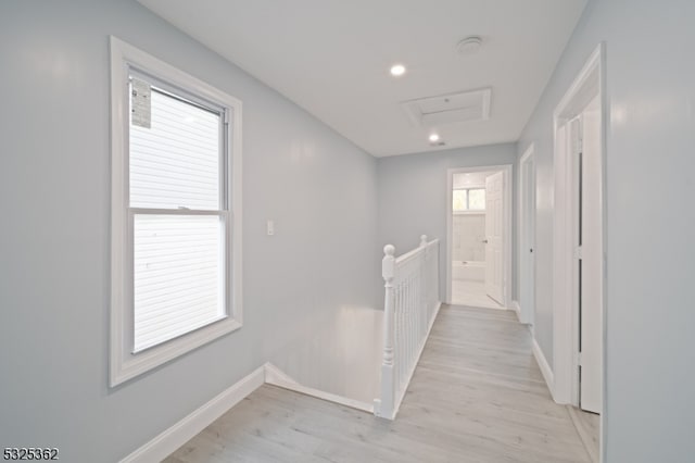 corridor with a healthy amount of sunlight and light hardwood / wood-style floors