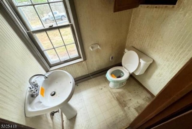 bathroom with a healthy amount of sunlight and toilet