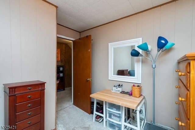 interior space featuring crown molding and light colored carpet