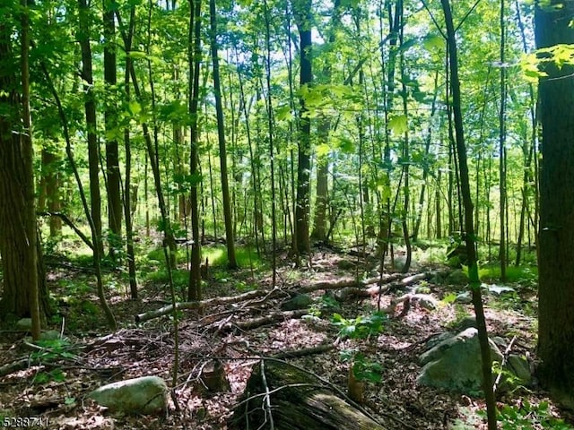 00 Edison Rd, Sparta Twp NJ, 07871 land for sale