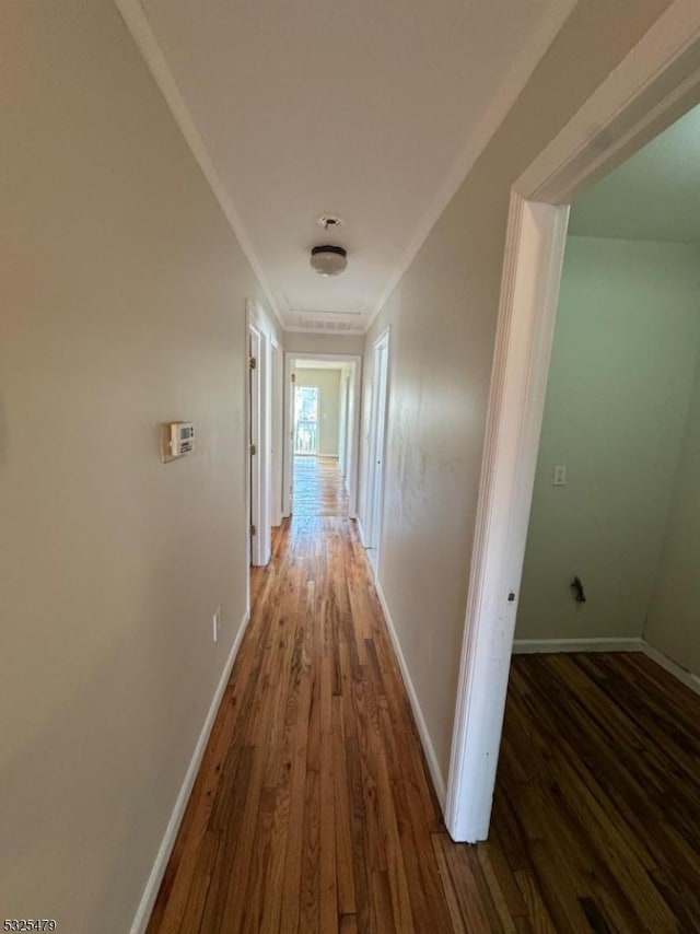 hall with ornamental molding and dark wood-type flooring