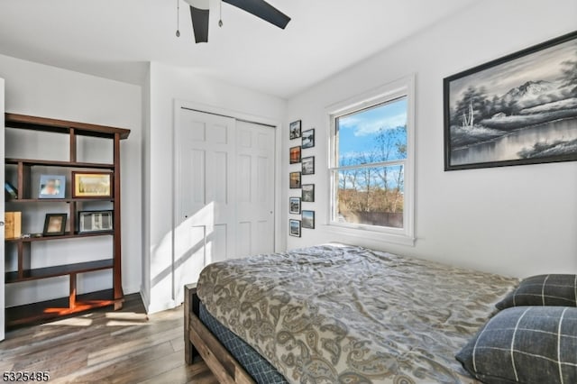 bedroom with wood-type flooring, a closet, and ceiling fan