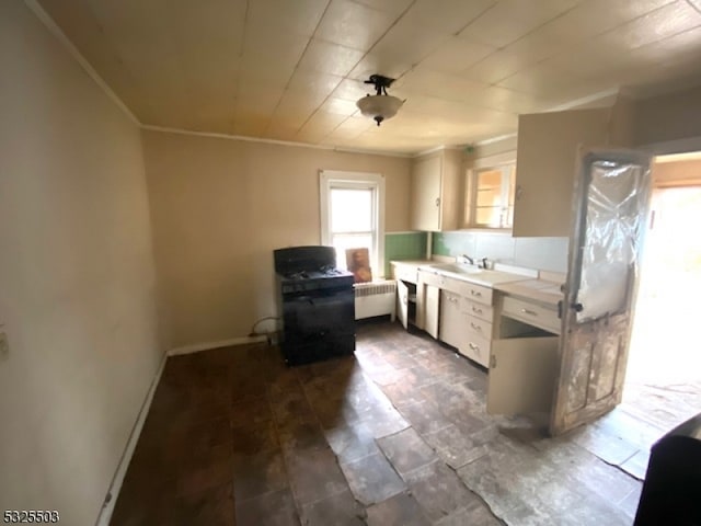 kitchen with white cabinetry, ornamental molding, and radiator