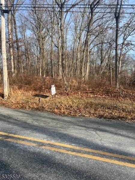 3-A Old Bilby Rd, Independence Twp NJ, 07840 land for sale