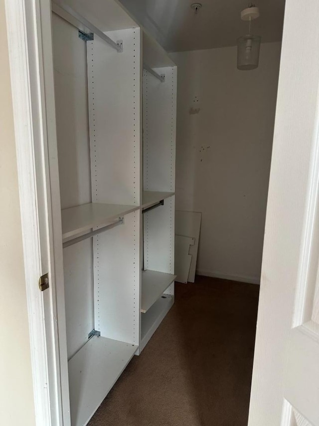 spacious closet with dark colored carpet