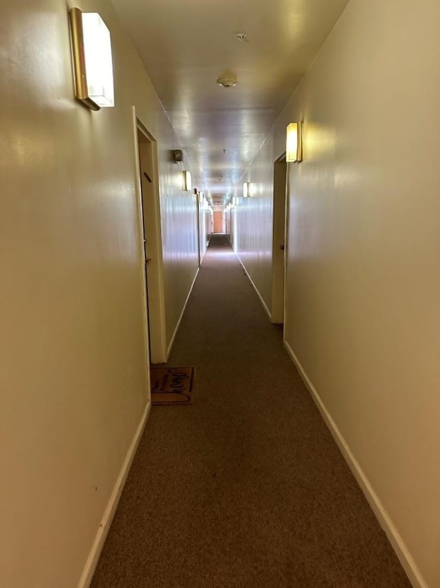 corridor featuring carpet flooring