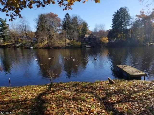 view of dock with a water view