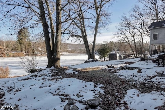 view of yard covered in snow