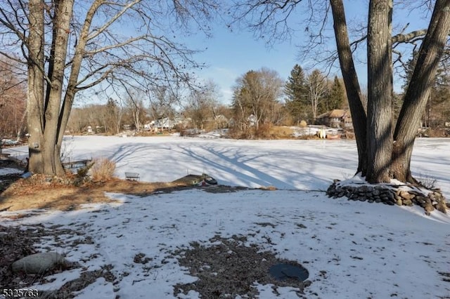 view of yard covered in snow