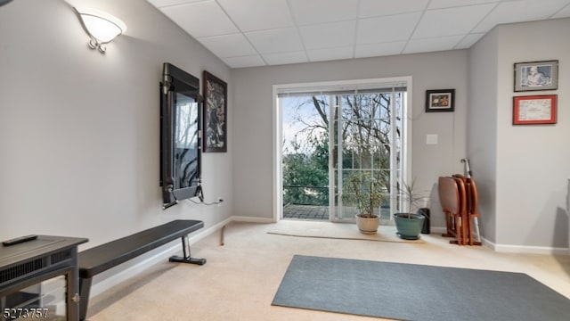 exercise room featuring carpet and a drop ceiling