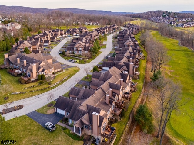 bird's eye view