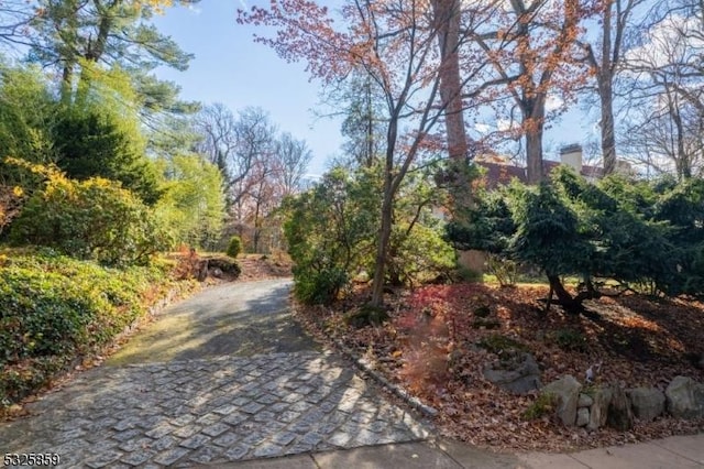 26 Ridge Rd, Summit City, NJ 07901 - view of street