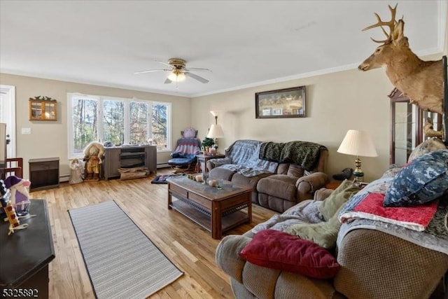 living room with ceiling fan, light wood-type flooring, and crown molding