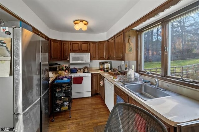 kitchen featuring plenty of natural light, dark hardwood / wood-style floors, white appliances, and sink