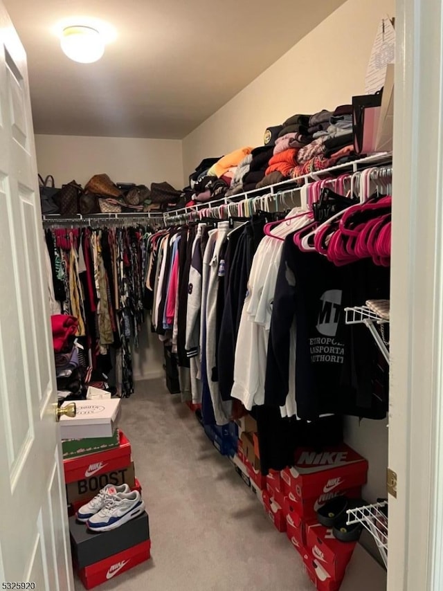 spacious closet with carpet flooring