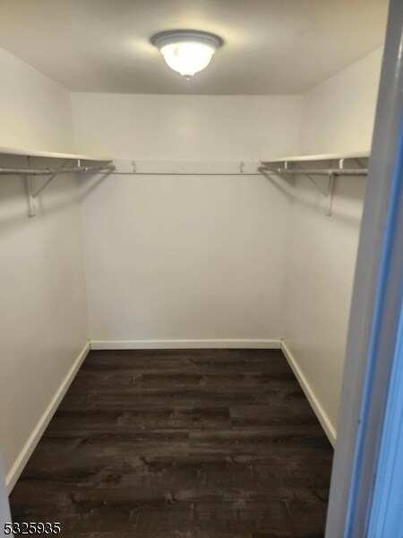 spacious closet featuring dark wood-type flooring