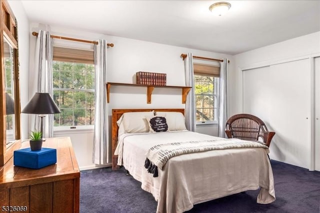 carpeted bedroom featuring a closet