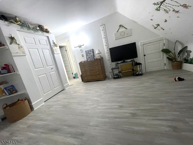 interior space featuring a closet, light hardwood / wood-style floors, and vaulted ceiling