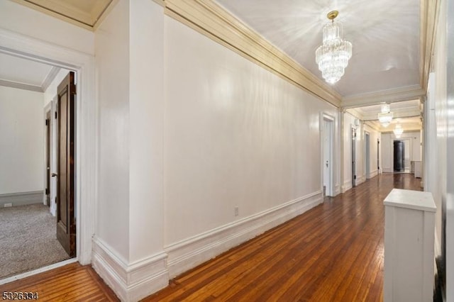 hallway featuring dark hardwood / wood-style flooring, a chandelier, and ornamental molding