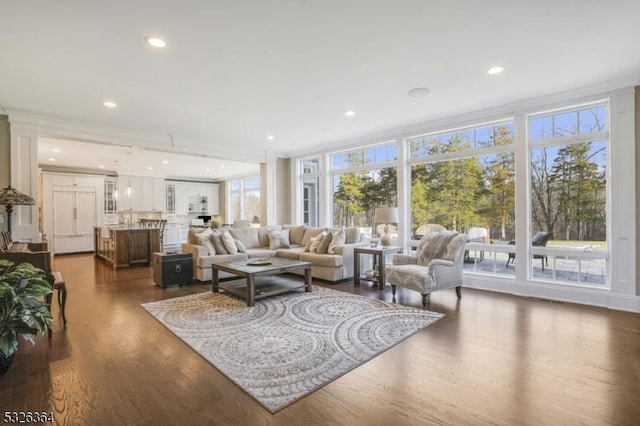 living room featuring sink, a wall of windows, dark wood-type flooring, and ornamental molding