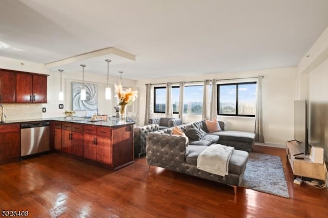 living room featuring dark hardwood / wood-style floors and sink