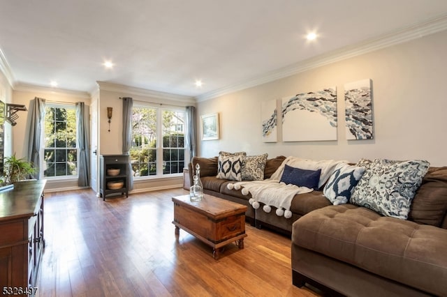 living room featuring hardwood / wood-style floors and ornamental molding