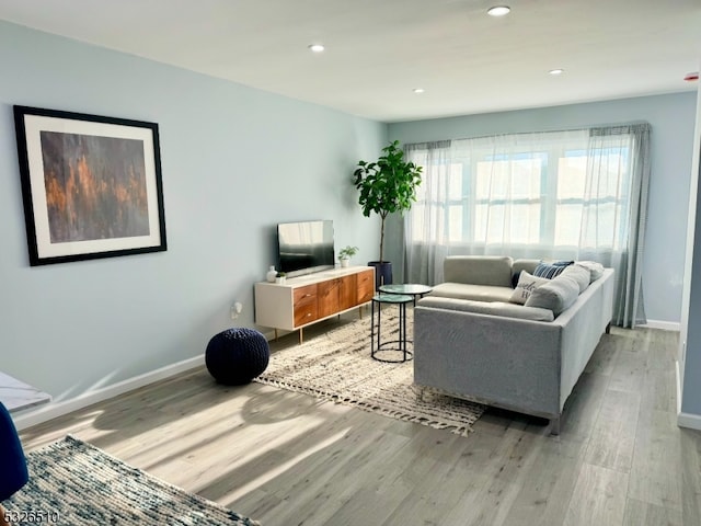 living room featuring light wood-type flooring