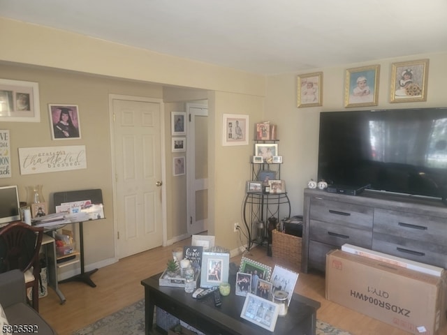 living room with hardwood / wood-style flooring