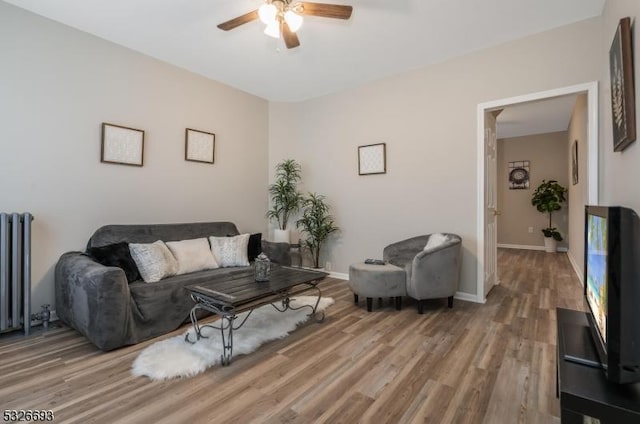 living room featuring radiator, ceiling fan, and hardwood / wood-style floors