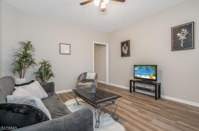 living room with ceiling fan and wood-type flooring