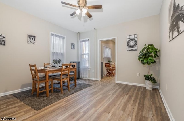 dining area with hardwood / wood-style floors and ceiling fan