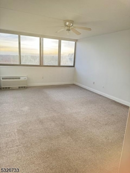 spare room with carpet flooring, a wealth of natural light, and ceiling fan