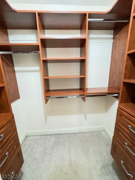 walk in closet with light carpet