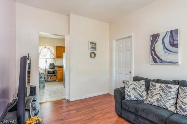 living room featuring dark wood-type flooring