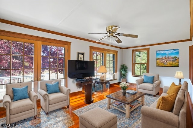 living room with ceiling fan, wood-type flooring, and crown molding