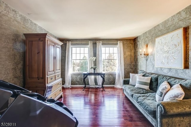 living area featuring dark wood-type flooring