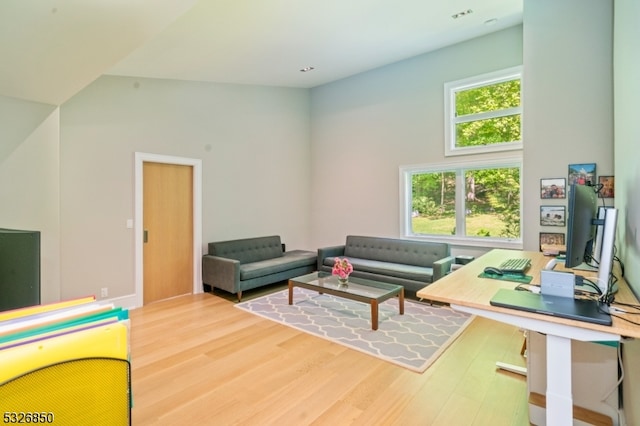 living room featuring hardwood / wood-style floors and high vaulted ceiling