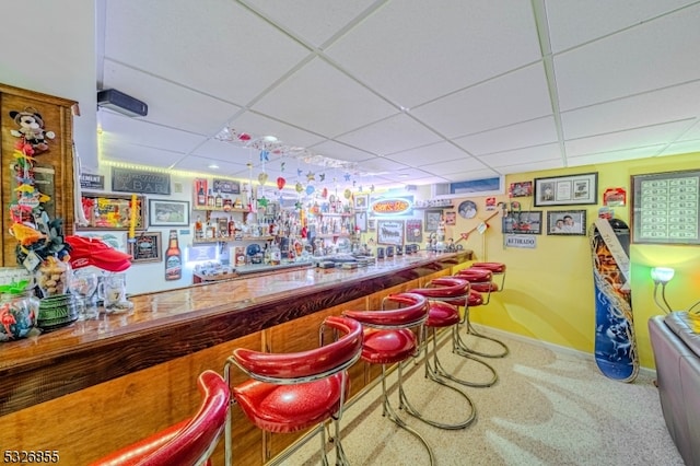 bar featuring a drop ceiling and carpet