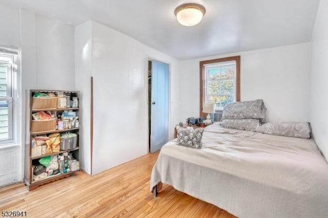 bedroom with wood-type flooring