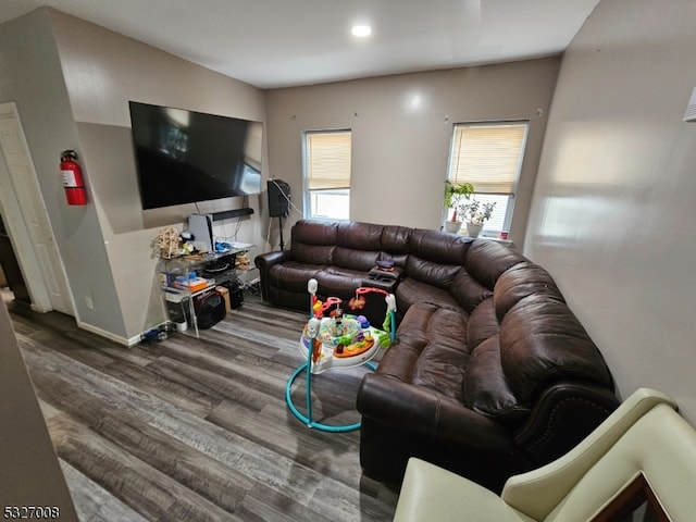 living room featuring hardwood / wood-style floors