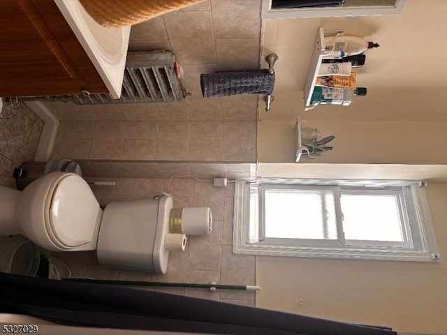 bathroom featuring toilet