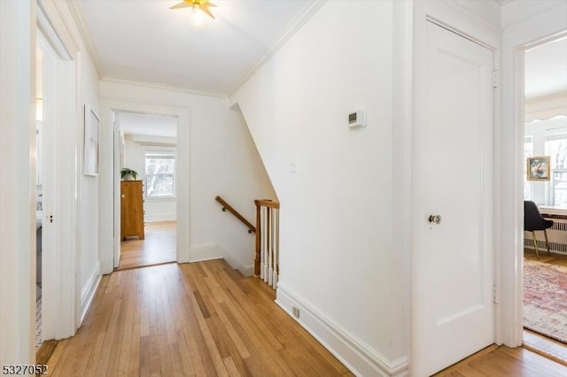 hallway with light hardwood / wood-style flooring, radiator, and ornamental molding