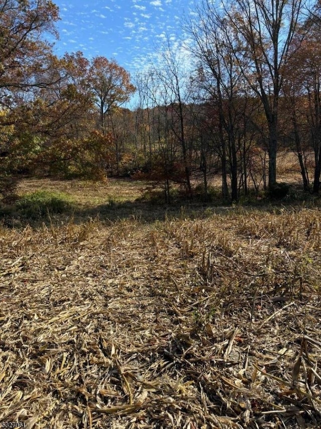 0 Cedar Lake Rd, Blairstown Twp NJ, 07825 land for sale